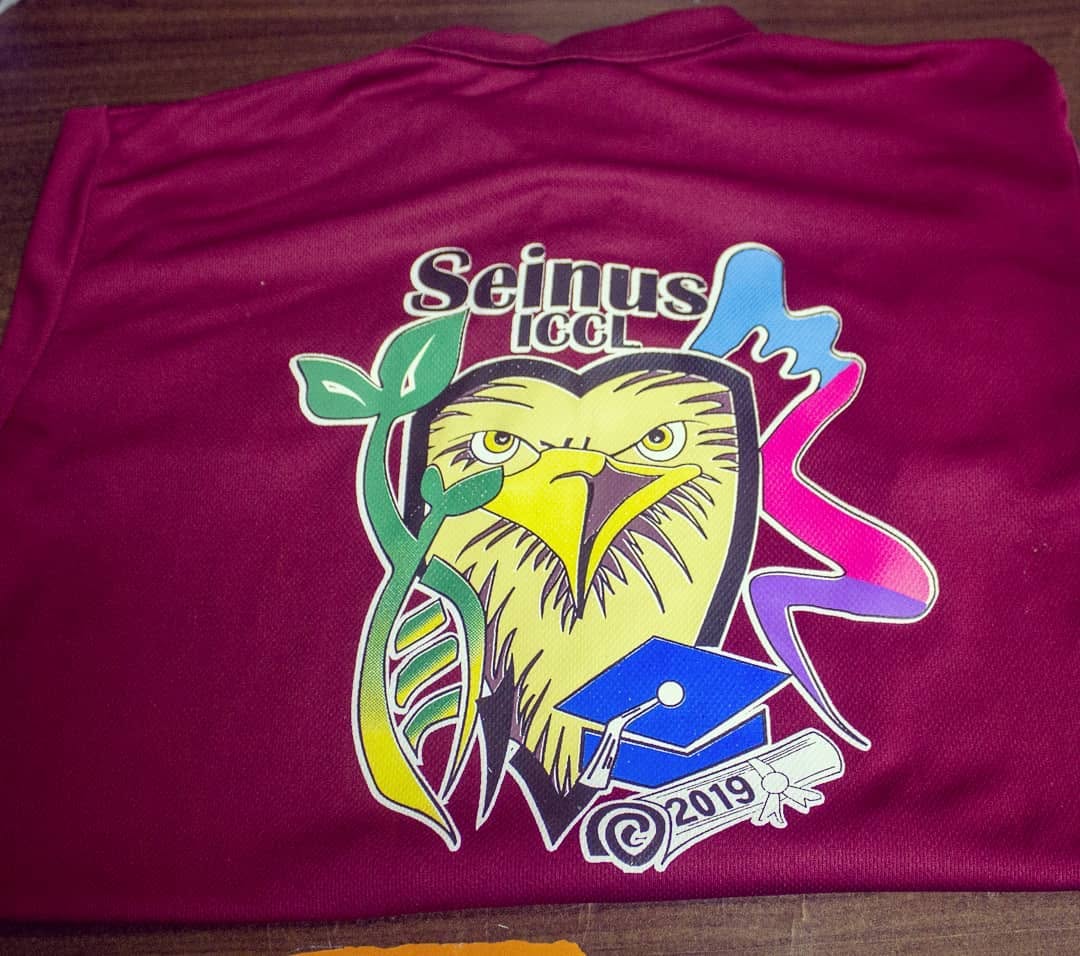 Jersey Mighty Eagles estampado por SeriSport